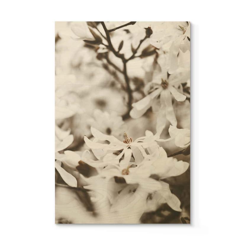 Annie Träposter - Jasmine