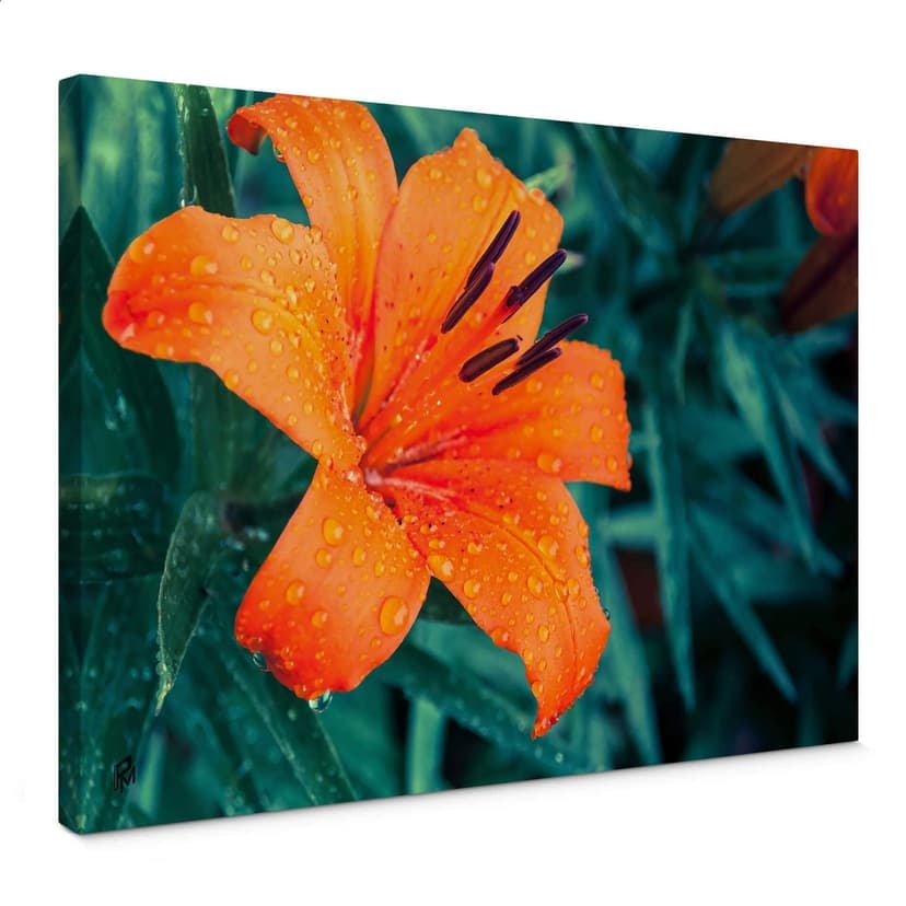 Tropical Lily Canvastavla