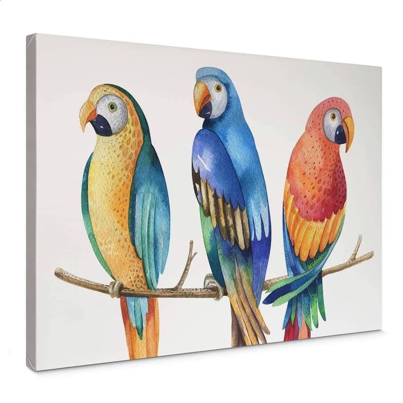 Canvas Kvilis - Färgglada papegojor