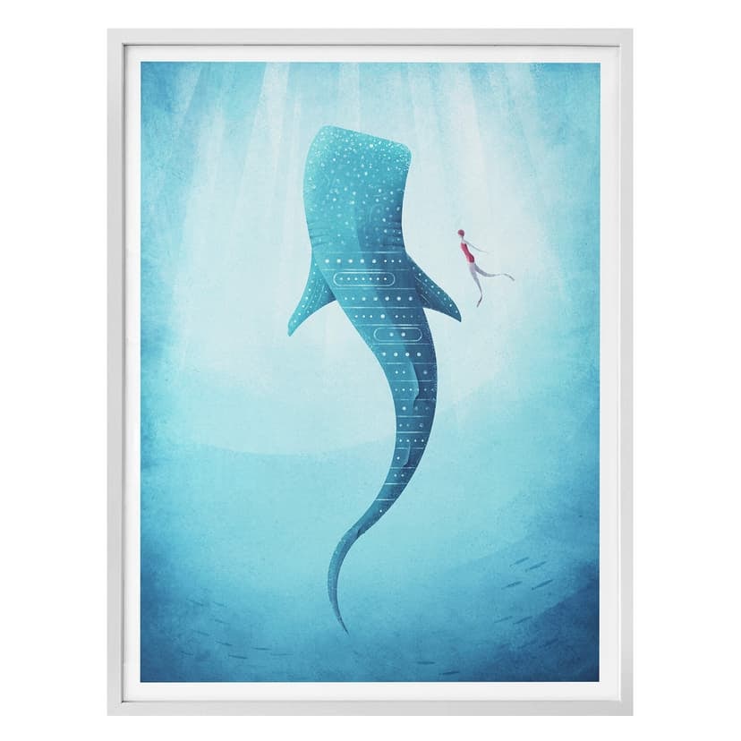 Poster Rivers - Valhajen