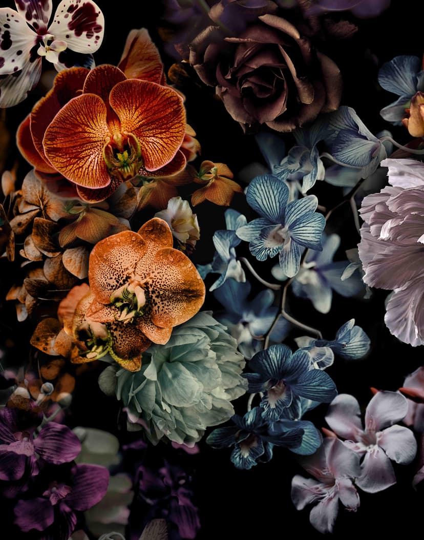 Fototapet med motiv mörkblommig blomsterbukett i svart med orkidéer 2,7 x 2,12 m