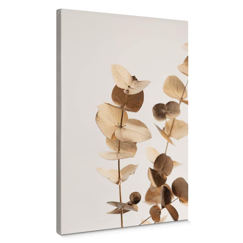 Canvastavla 1X Studio - Gyllene eukalyptus