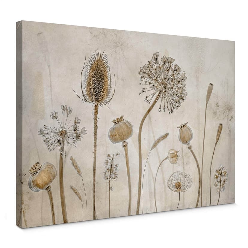 Canvastavla Disher - Torkade blommor