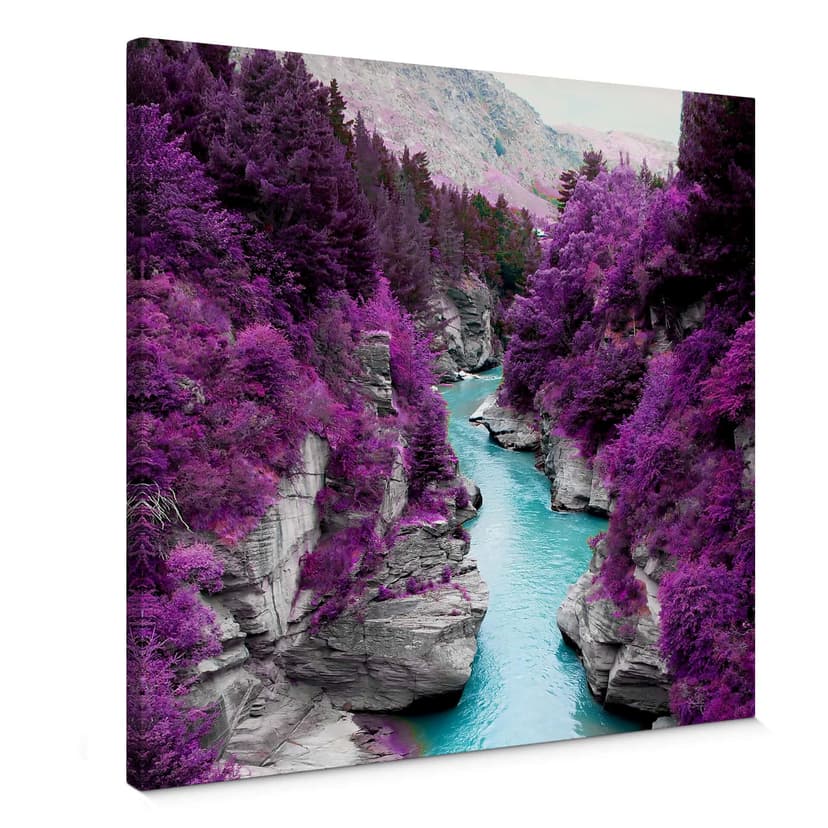 Canvastavla Kawarau River
