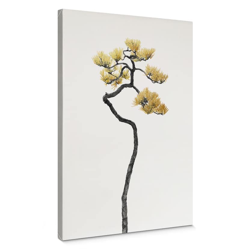 Canvastavla Bonsai i balans - Amini