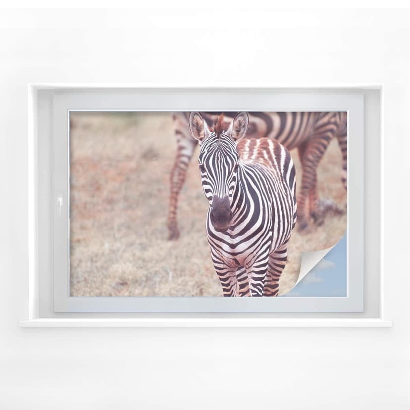 Sekretessfilm zebra föl