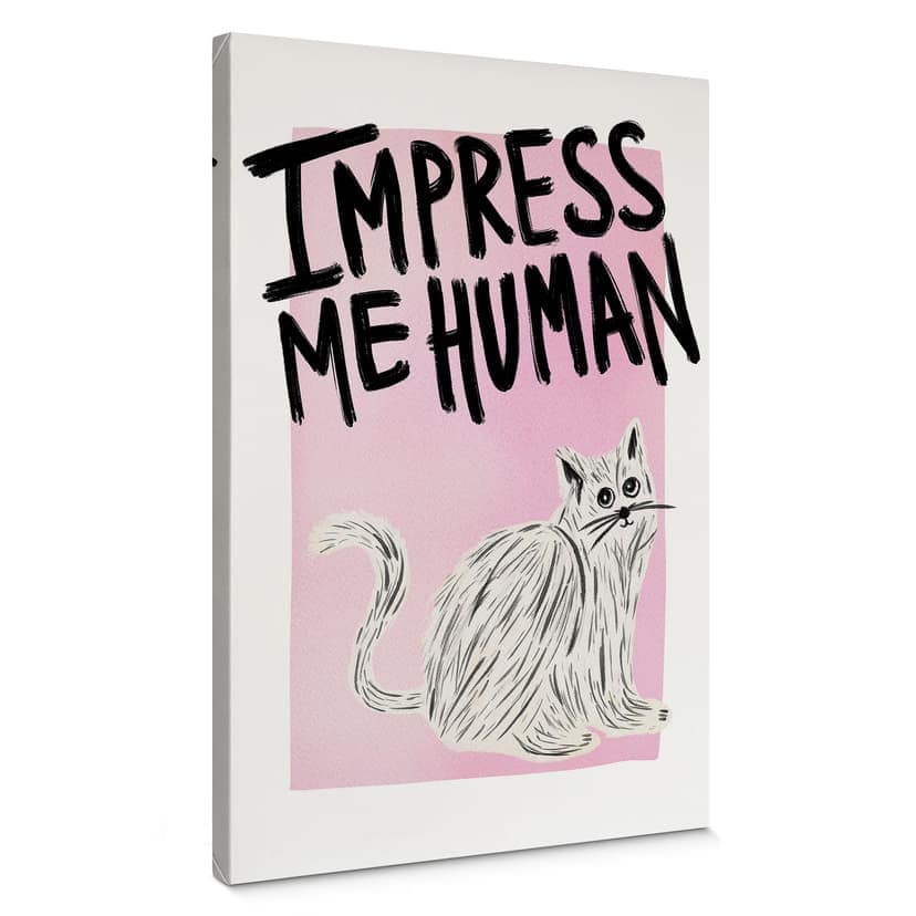 Canvas bild katt: Impress me Human - Bloom