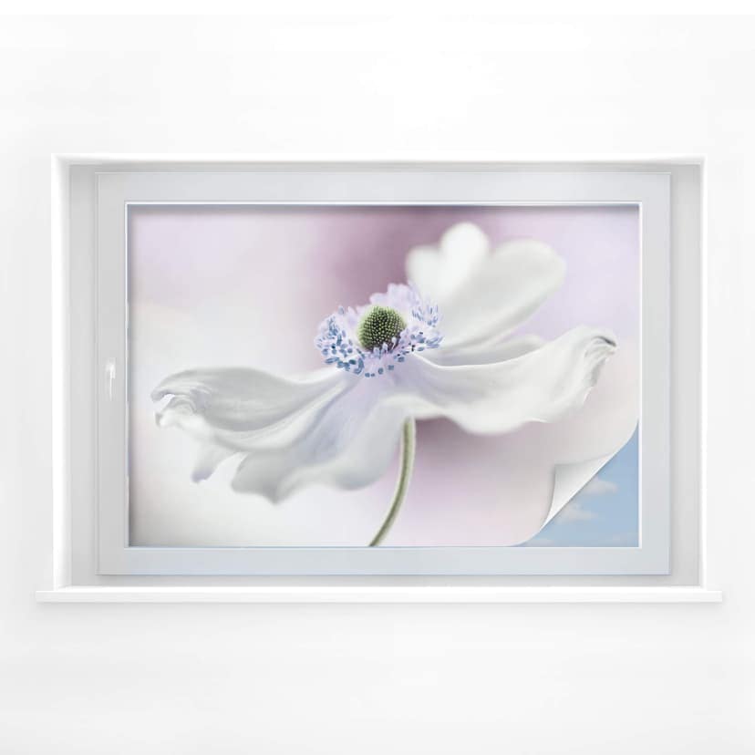 Disher sekretessfilm - Anemone Breeze