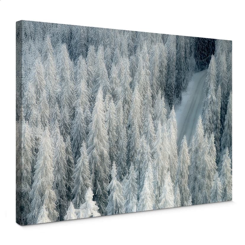 Canvastavla Kalliolahti - Vit vinter