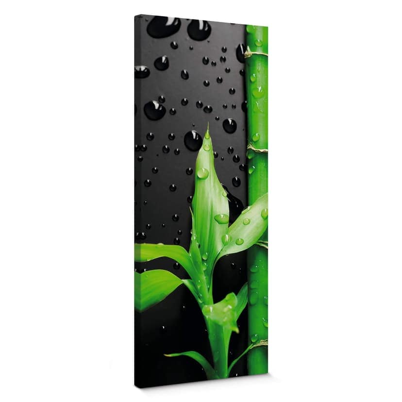 Canvastavla Bamboo Over Black - Panorama