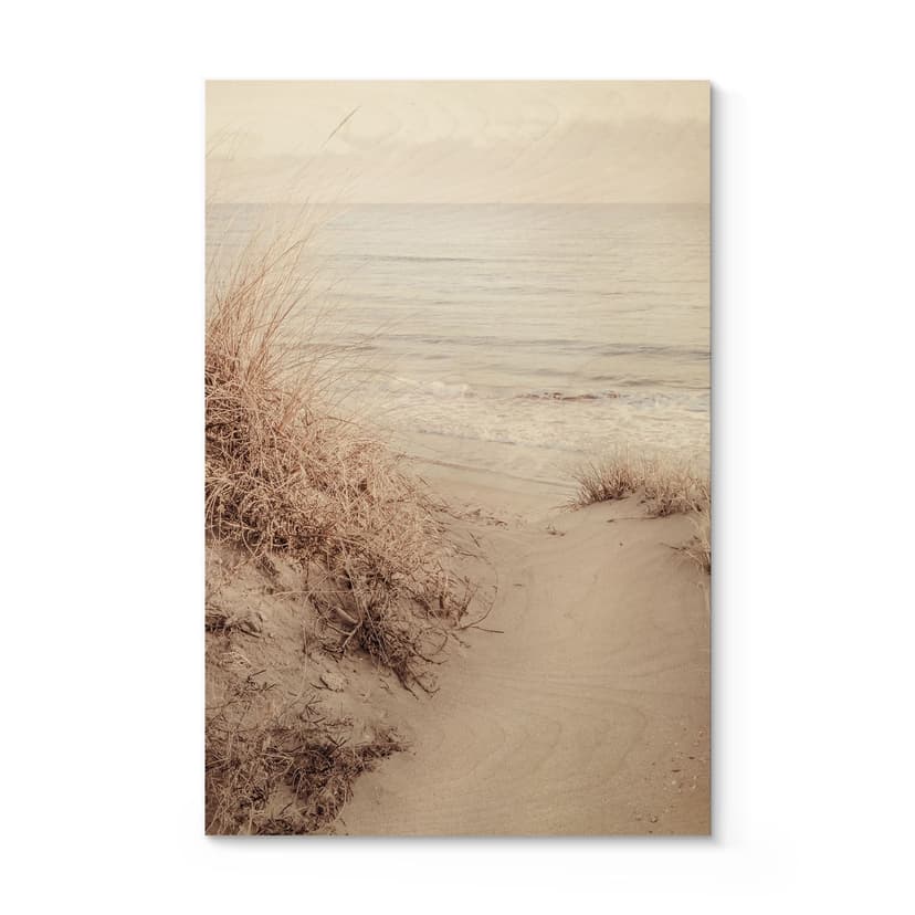 Träposter sanddyner på stranden - 1X Studio