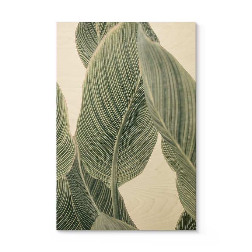 Träposter Calathea växt - Sisi & Seb
