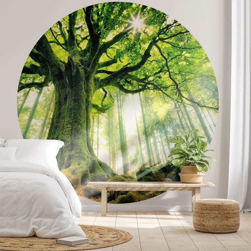 Sagolik skog tapet - skog fototapet rund - Kiciak - non-woven tapet/självhäftande non-woven tapet