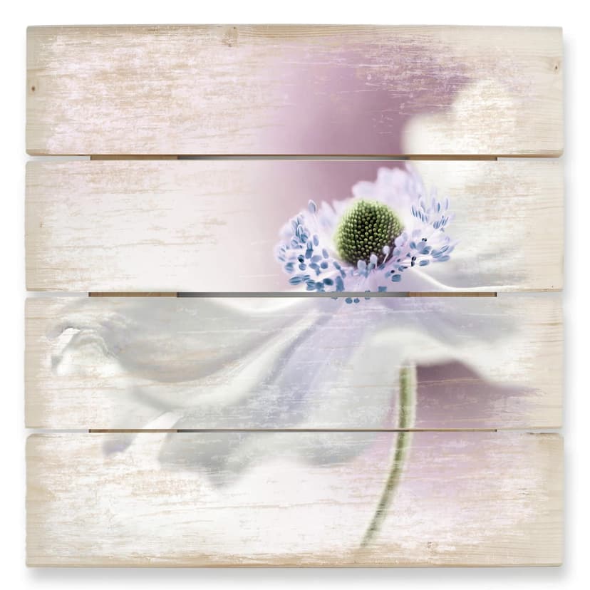 Trätavla från Disher - Anemone Breeze - 40x41,5 cm