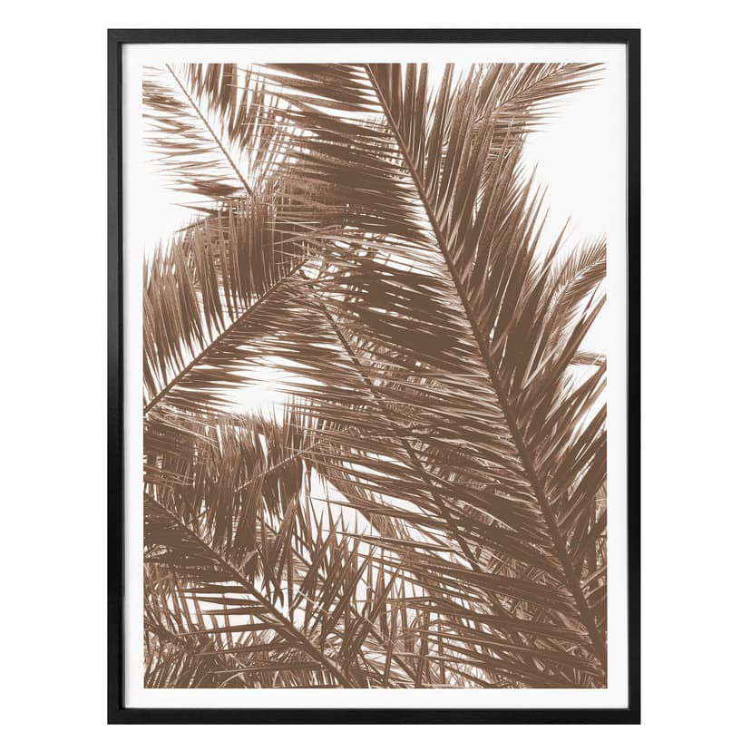 Poster palmblad