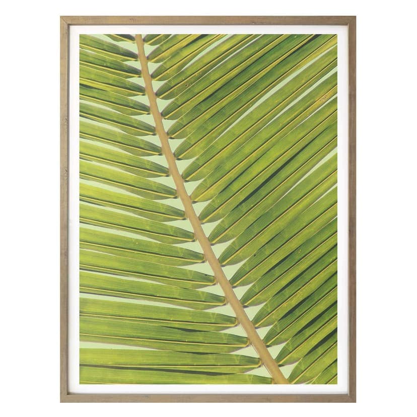 Poster Palms 04
