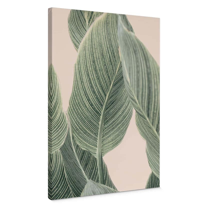 Canvastavla Calathea växt - Sisi & Seb