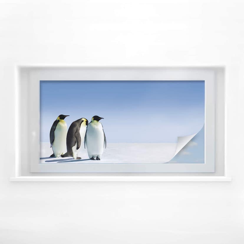 Sekretessfilm Penguin - Panorama