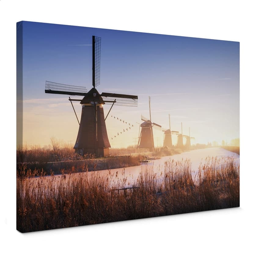 Canvastavla Pablo - Kinderdijk 4