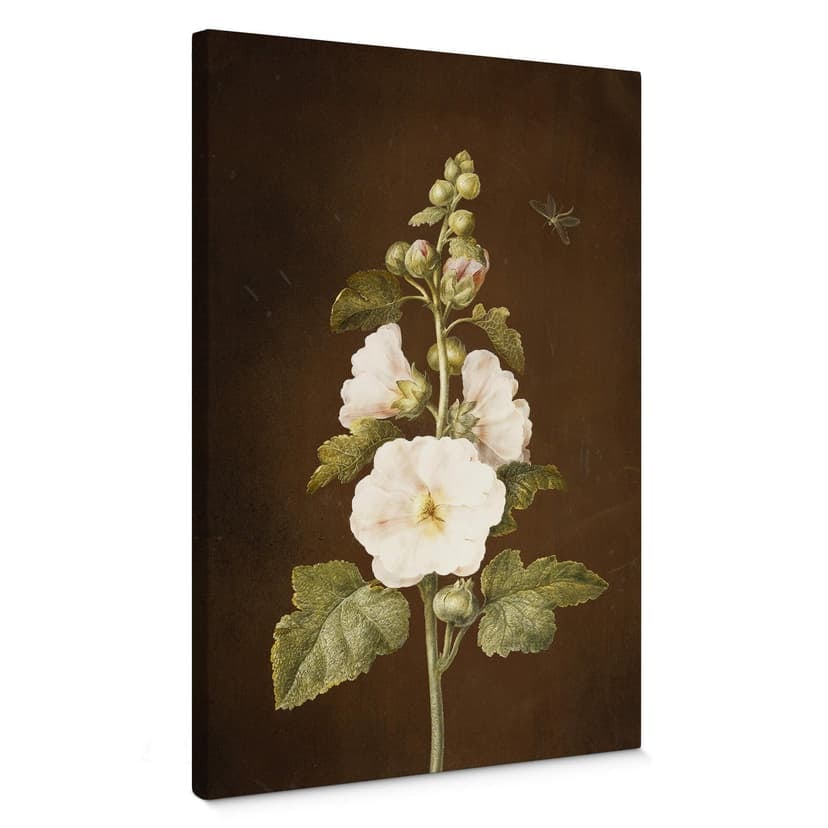 Canvastavla Dietzsch - Hollyhock
