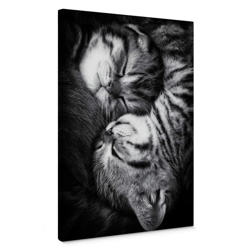 Canvas Jancova - Söt kattunge
