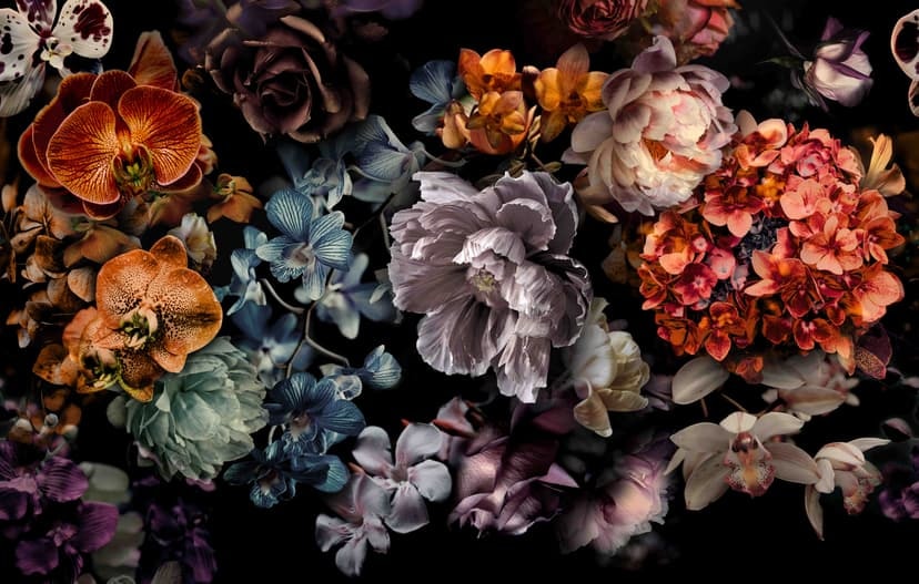Fototapet Dark Floral Stilleben med orkidéer, hortensior och pioner 2,7 x 4,24 m