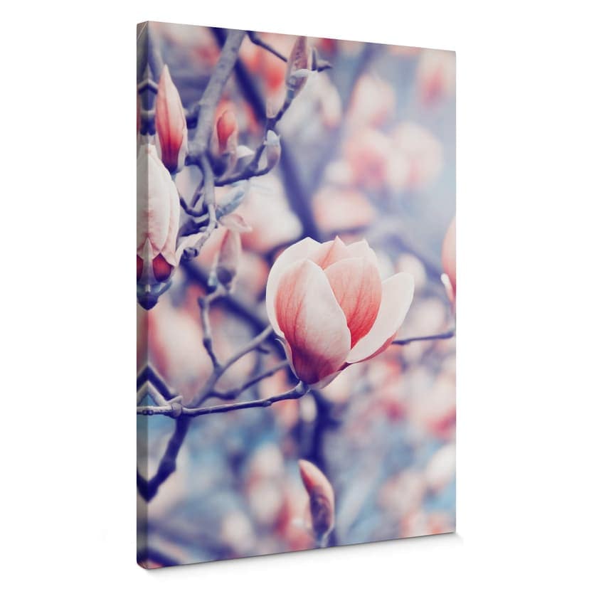 Magnolia knopp duk tavla
