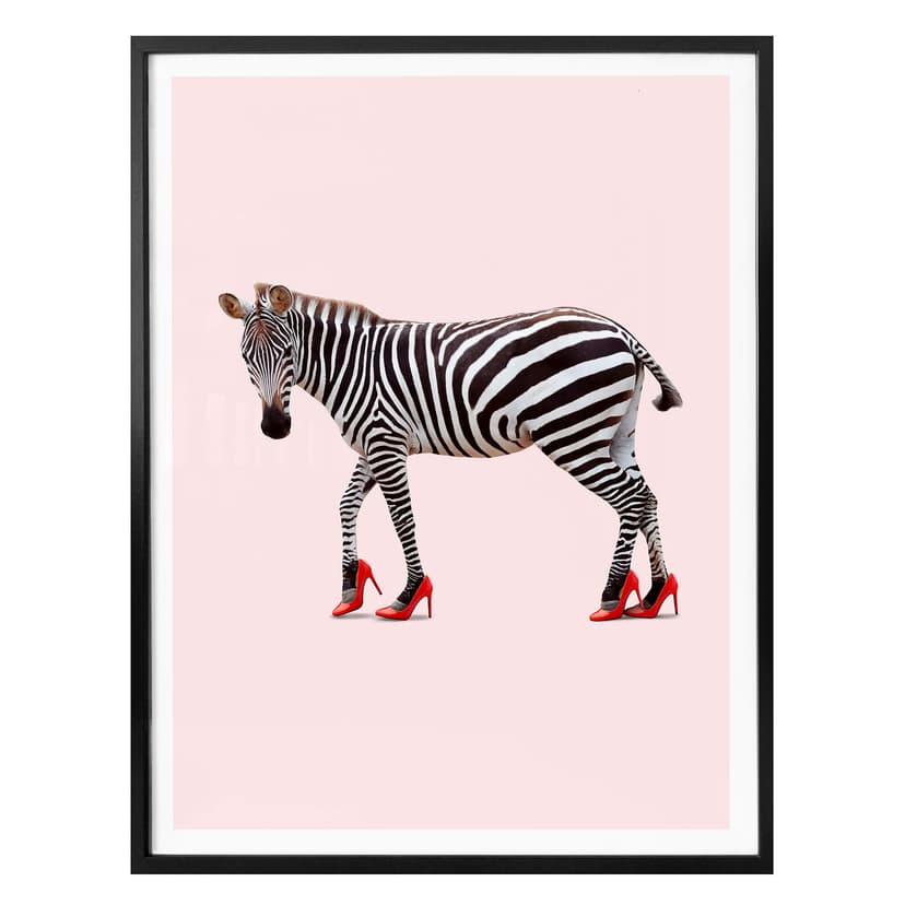 Poster Loose - Zebraklackar