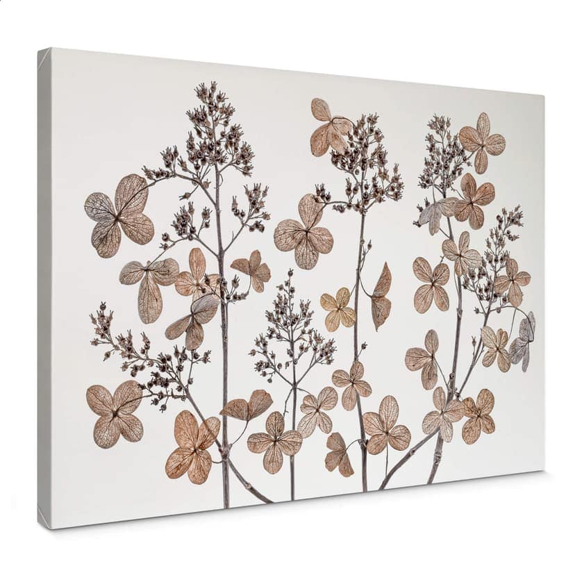 Canvastavla Disher - Torkade blommor
