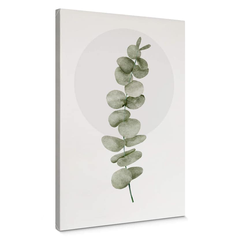 Canvastavla Kubistika - Eukalyptus