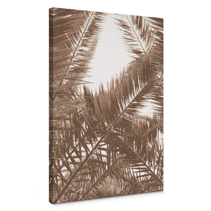 Phoenix palm canvas bild