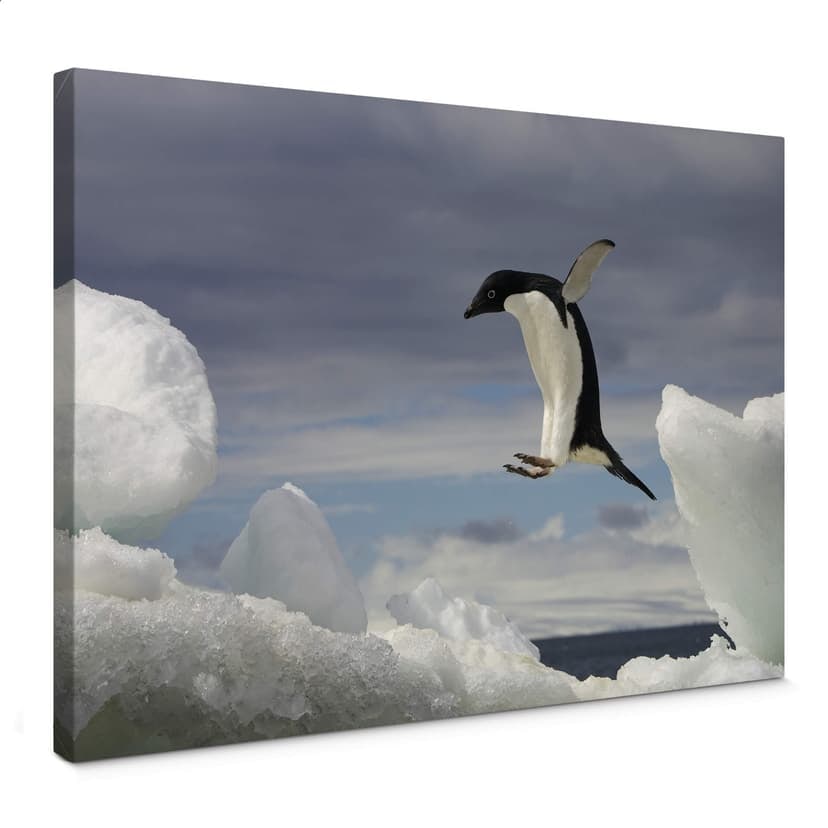 Canvastavla NG Penguin Fly