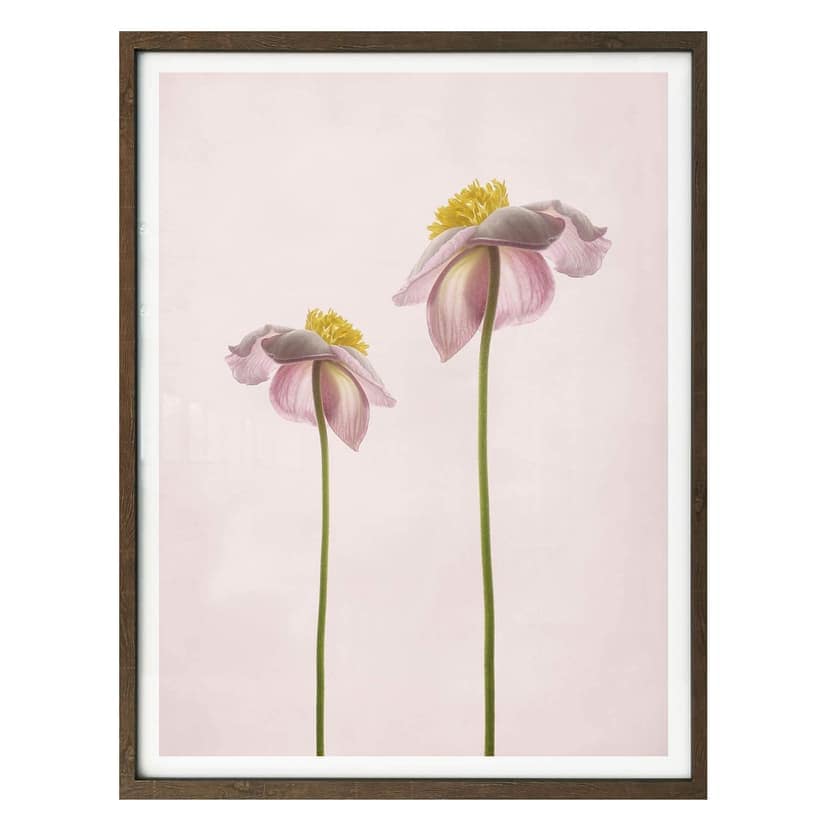 Poster Grønkjær - Sommarglädje