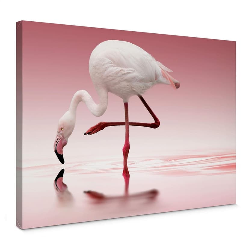 Reindl dukbild - Rosa flamingo