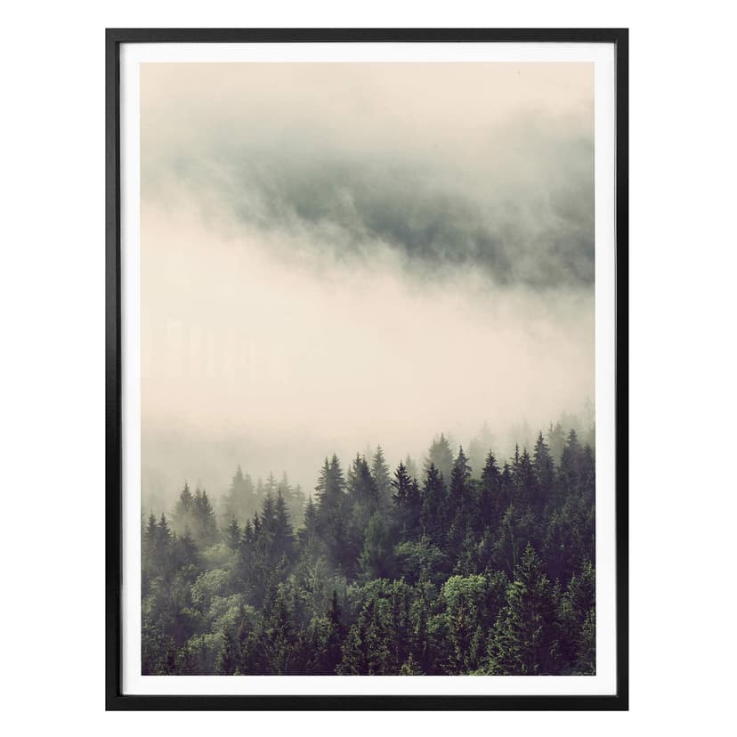 Poster Dimma i skogen 02