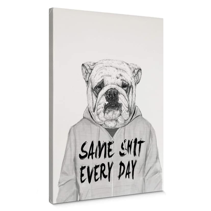Canvastavla Solti - irriterad bulldogg