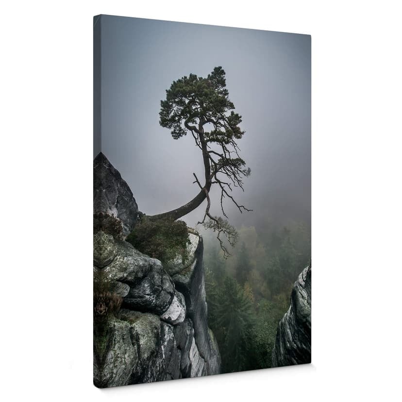 Canvastavla Wonisch - Naturens krafter