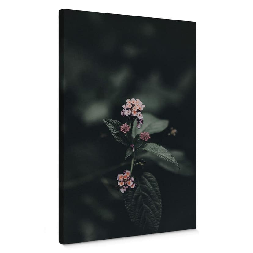 Canvastavla Delikat rosa blomma