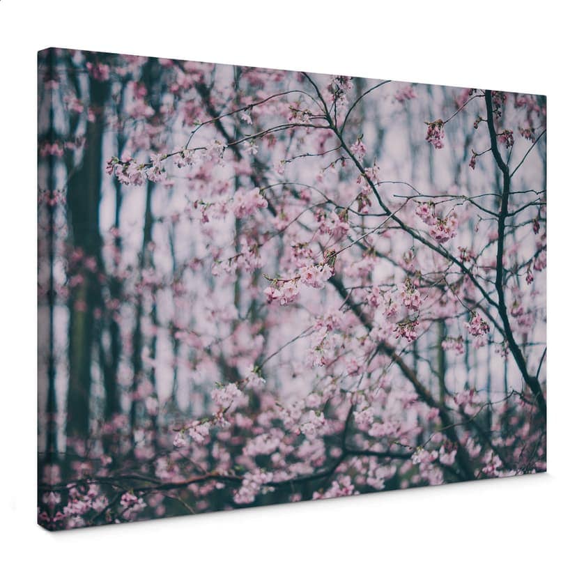 Canvastavla Rosa blomma dröm 03