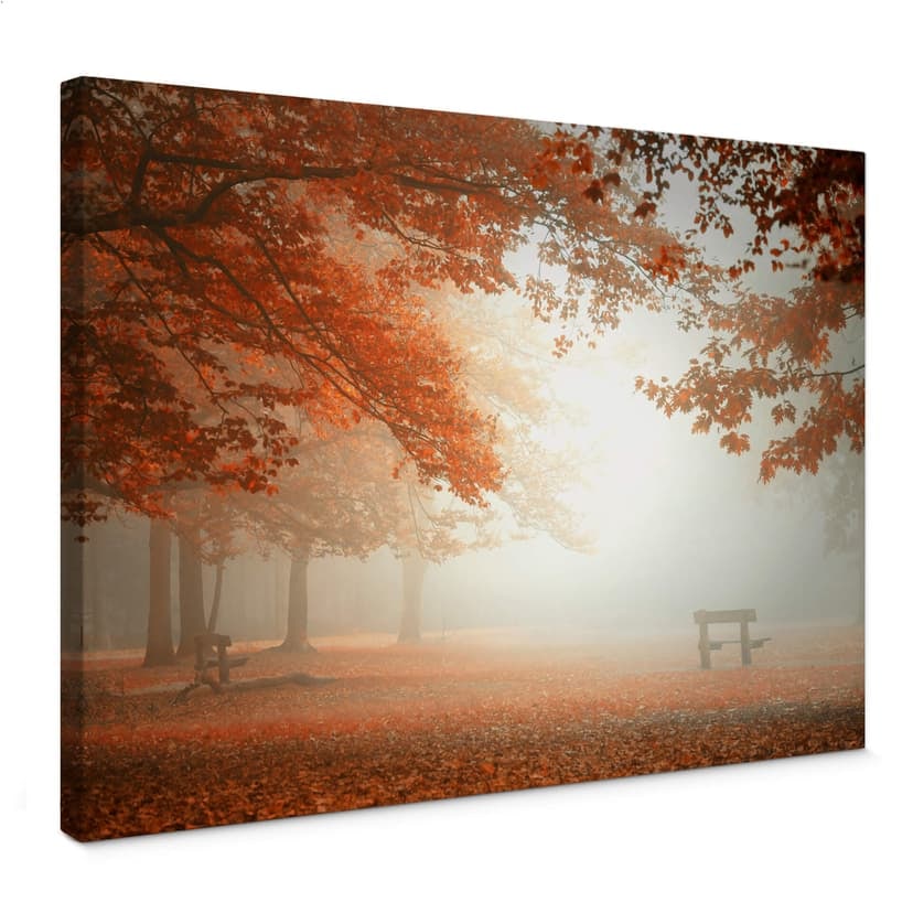 Dingemans dukbild - Vilande skog