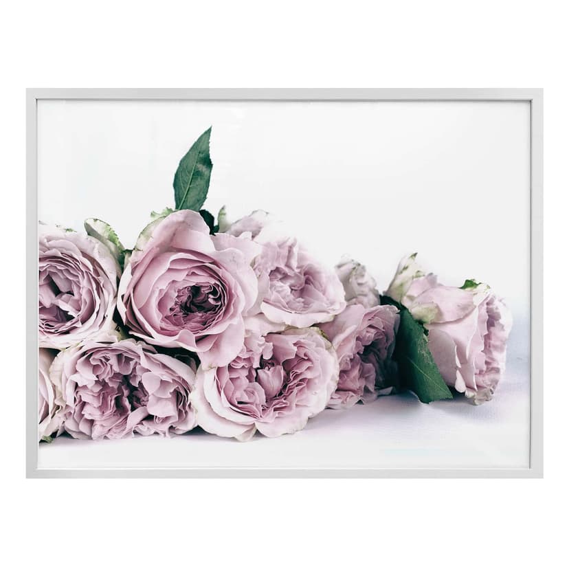 Poster Purple Peonies