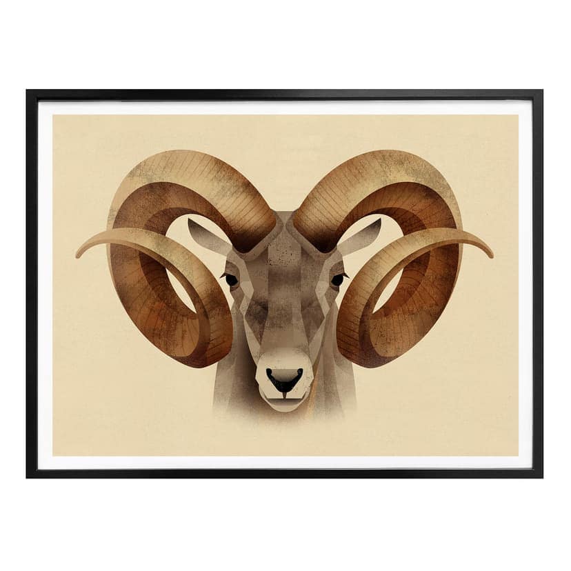 Poster Brun - Urial