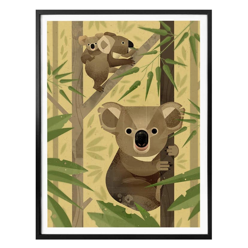 Poster Brun - Koala