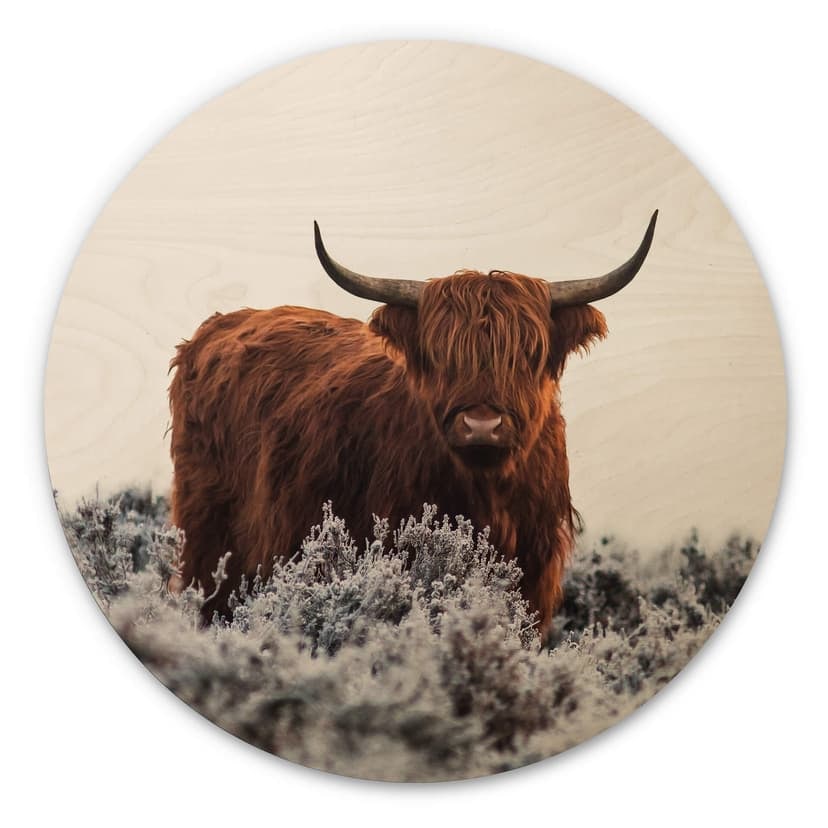 Trätavla van den Helm - Highlander - Rund