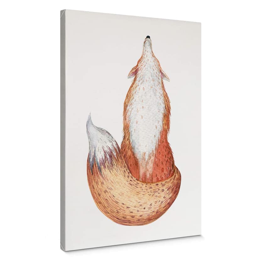 Canvas Kvilis - Fox 02
