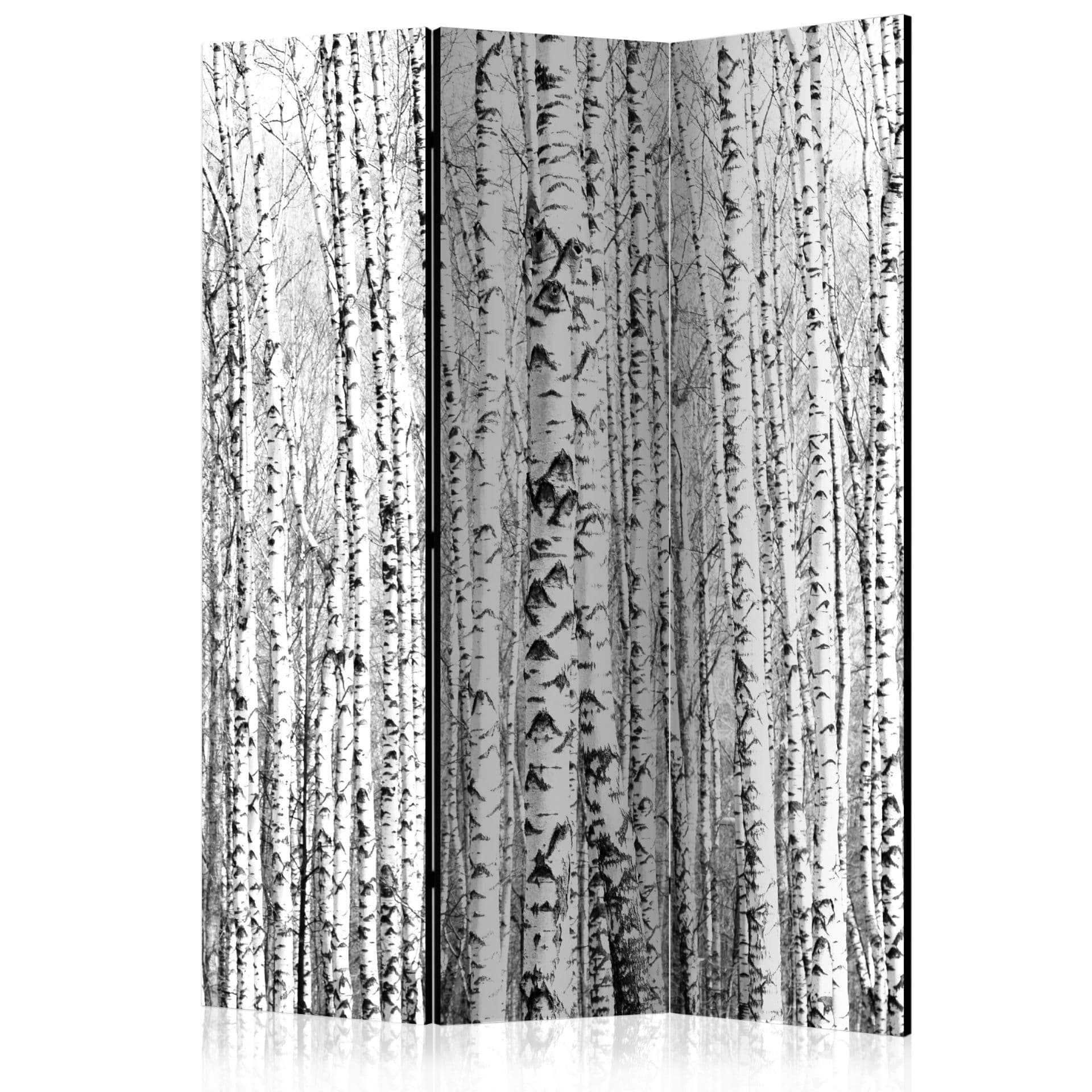 Paravent Raumteiler -  Birkenwald, 3-teilig  - 135x172 cm