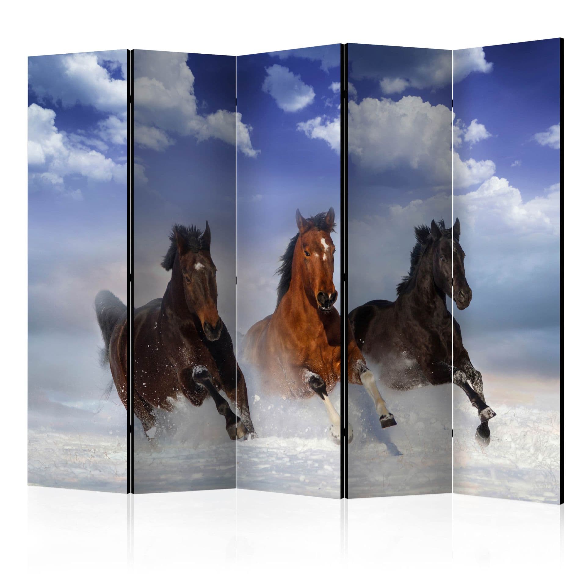 Paravent Raumteiler - Galopp im Schnee , 5-teilig - 225x172 cm
