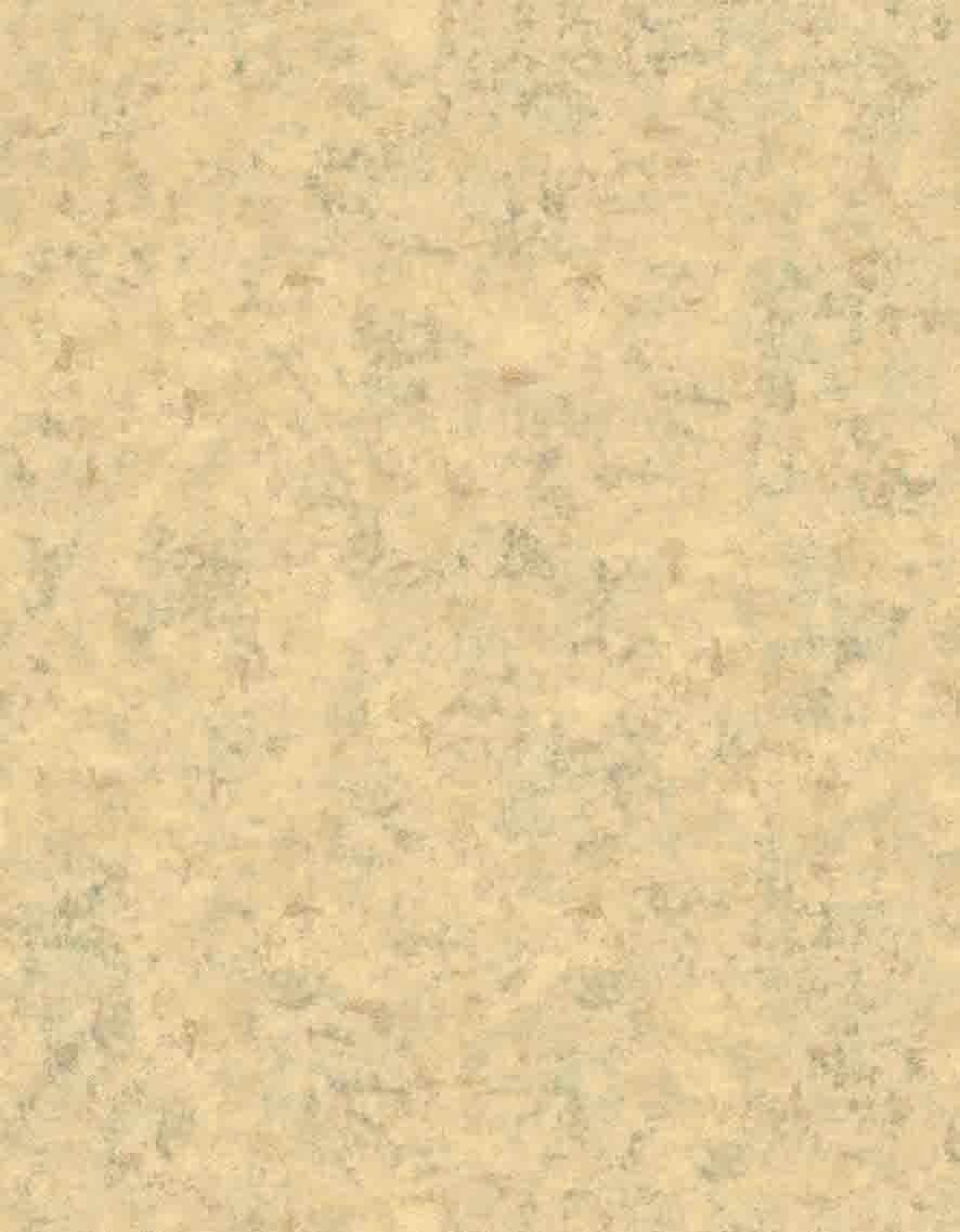 Fototapet Boho bananblad i naturliga toner på en sandig vintagetextur 3,4 x 2,65 m