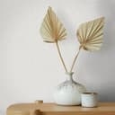 Strukturerad papperstapet Modern, romantisk i beige 