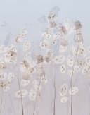 Fototapet blommor, blad blommig natur, modern i blått